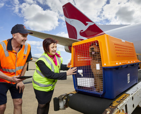 MicrosoftTeams-image-135-poqank4brkgswsymoya2eczh3sgz090rxcguv7wx82