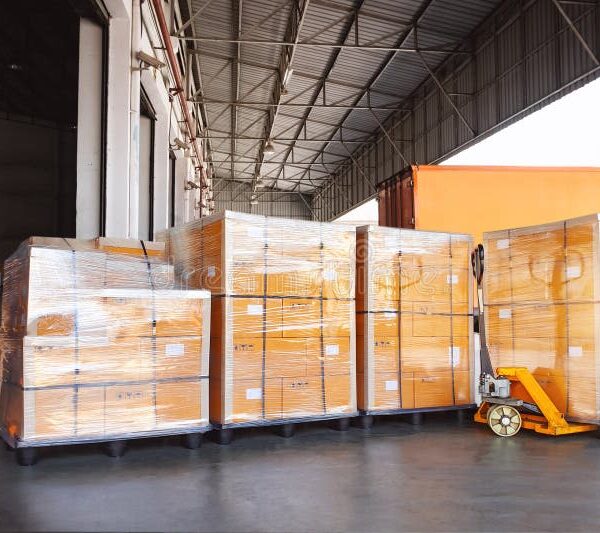 bulk-pallets-boxes-loading-shipping-container-package-wrapped-plastic-supply-chain-supplies-shipment-goods-freight-359484407-1788476313